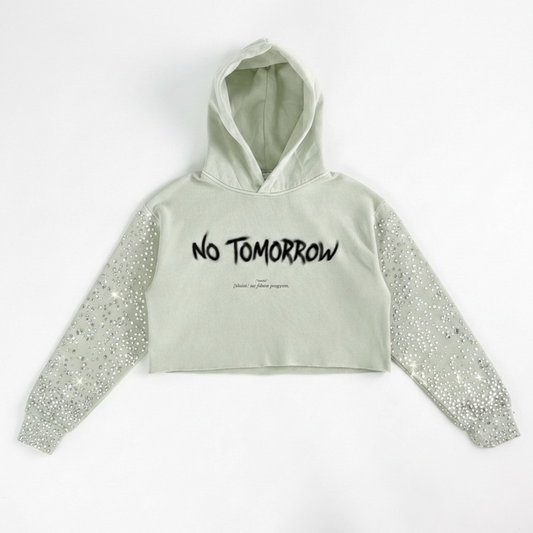EXPENSIVE PARADISE- No tomorrow: The 'Afterparty' Crystal Crop Hoodie