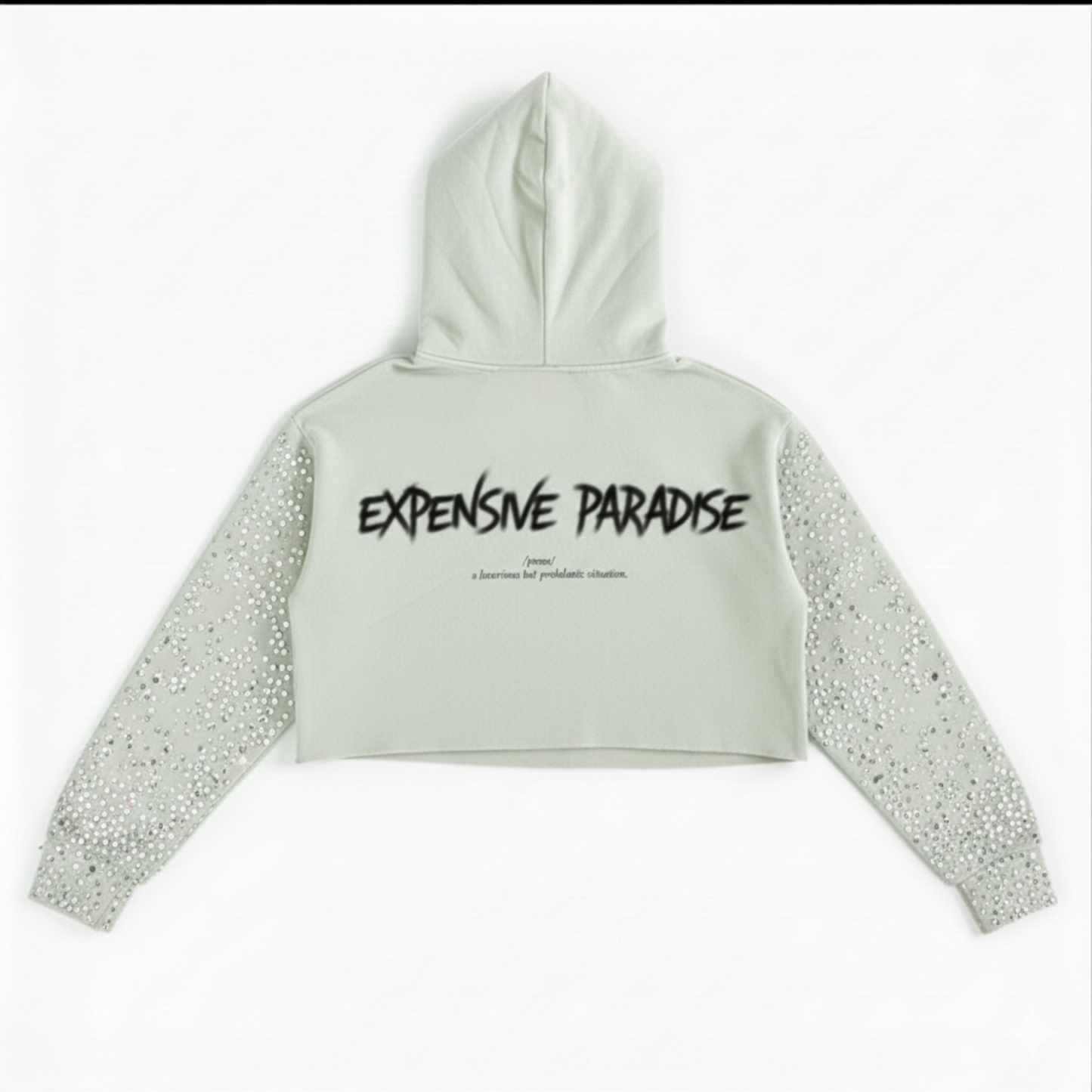 EXPENSIVE PARADISE- No tomorrow: The 'Afterparty' Crystal Crop Hoodie