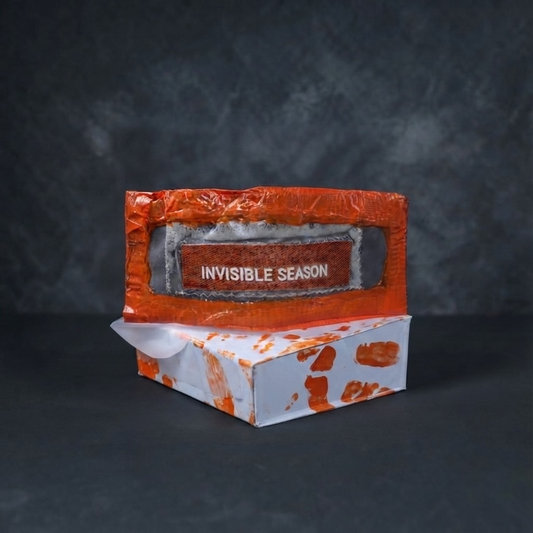 Expensive paradise-  "Invisible Discipline" (invisible seasons collection)