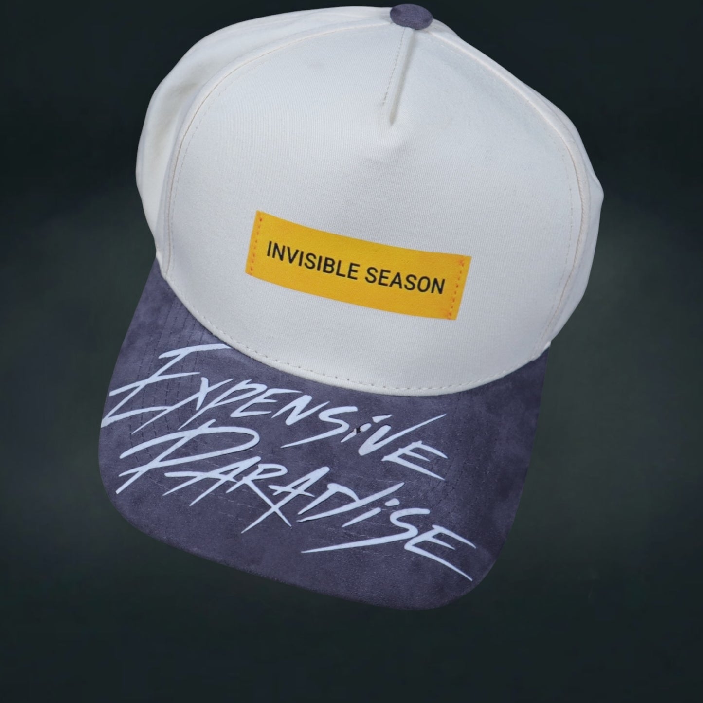 EXPENSIVE PARADISE : "THE Concert SnapBack" (INVISIBLE SEASON COLLECTION)