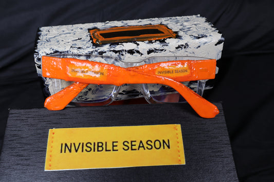 Expensive Paradise - “The Season Sunglasses” ( Invisible Season Collection)